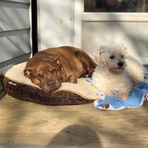 Meet your Posher, Claudia